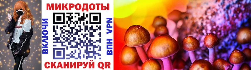 Псилоцибиновые грибы MAGIC MUSHROOMS  Советская Гавань 